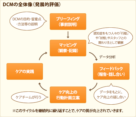 DCMの全体像（発展的評価）